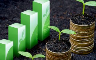 trees growing on coins / csr / sustainable development / economic growth / trees growing on stack of coins / Business growth with csr practice