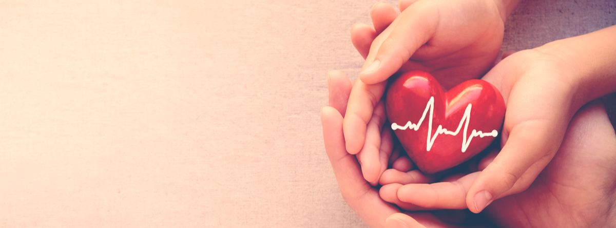adult and child hands holding red heart with cardiogram, health care, love and family insurance concept, world heart day - Image